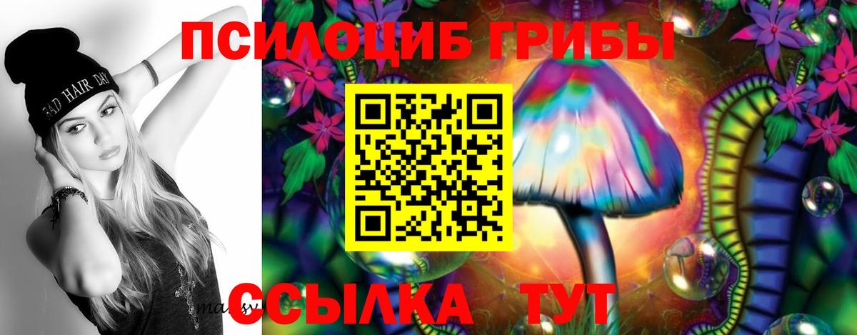 Псилоцибиновые грибы мицелий Магадан