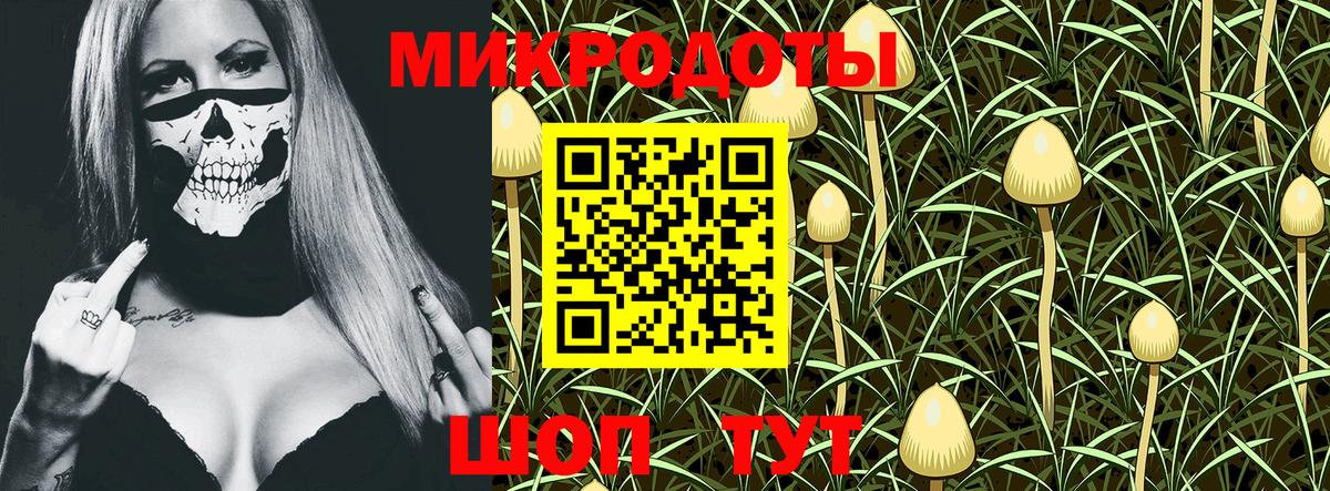 Магадан  Псилоцибиновые грибы Psilocybine cubensis  Вход с VPN 